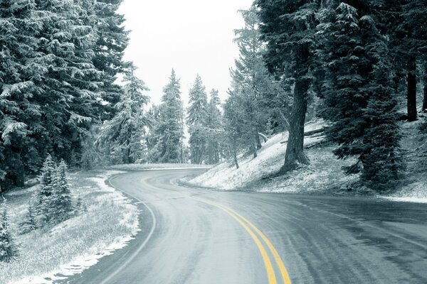 Strada tra la foresta invernale