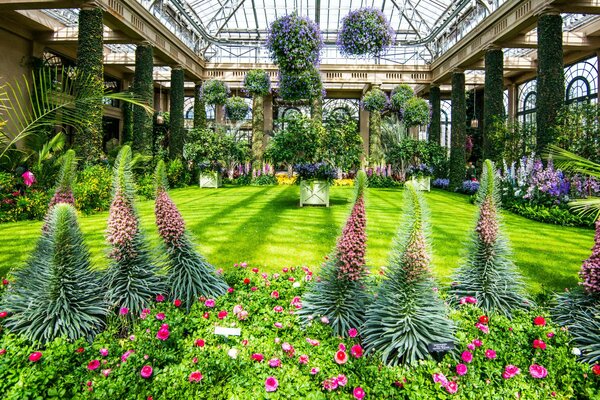 Schöner Park mit verschiedenen Farben