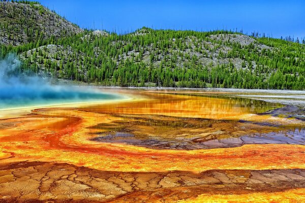 Prismatic spring on the background of green trees