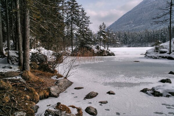 Naturaleza invernal entre las montañas