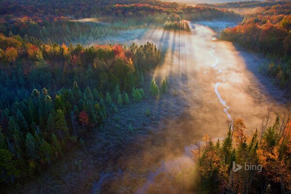 Herbstwald aus der Vogelperspektive bei Sonnenuntergang