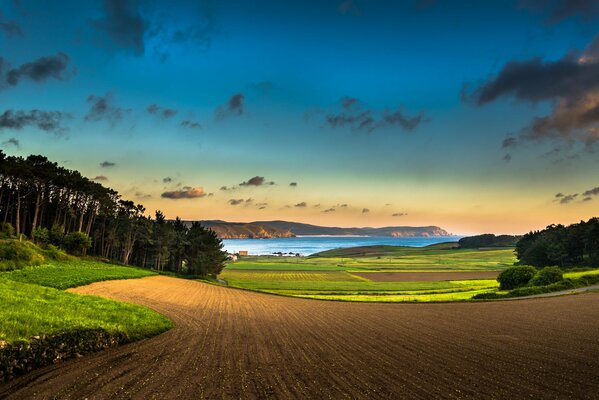 Waldlandschaft und gepflügtes Feld