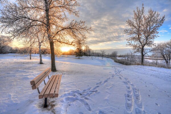 Una panchina solitaria su una radura lilla innevata calpestata sullo sfondo di alberi innevati e sole al tramonto