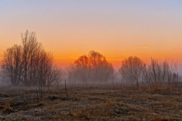 Natur bei Sonnenuntergang . felder und nebel