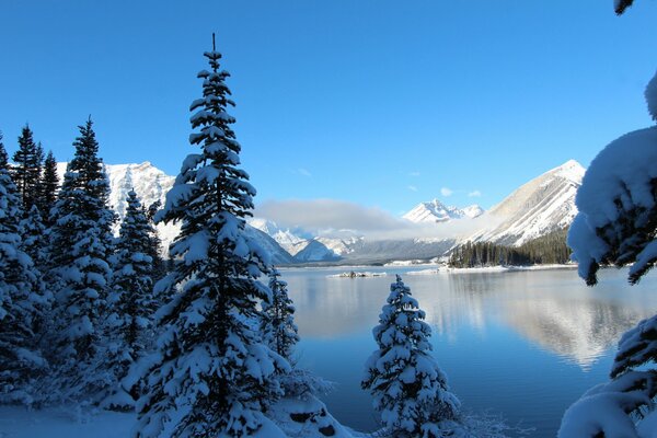 Laghi in una giornata limpida e gelida