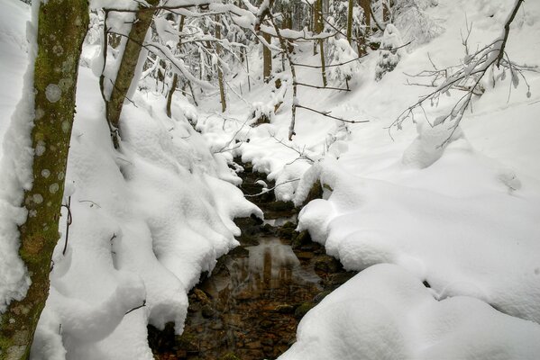 Ein Winterbach, der in Schneewehen surrt