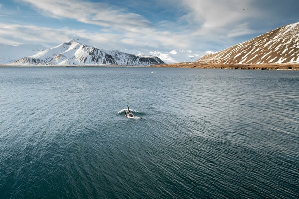 Seascape with snow-capped mountains