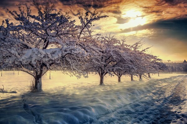 Winterlandschaft mit Schnee bei Sonnenaufgang