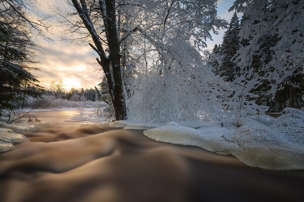 Winter-Pezzage mit schneebedeckten Bäumen