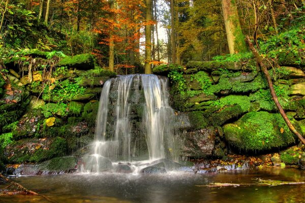 Piccola cascata nella foresta di autunno