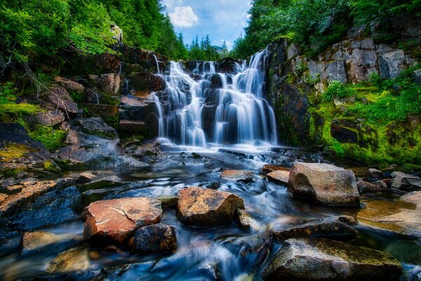 Mount Rainier Falls w USA