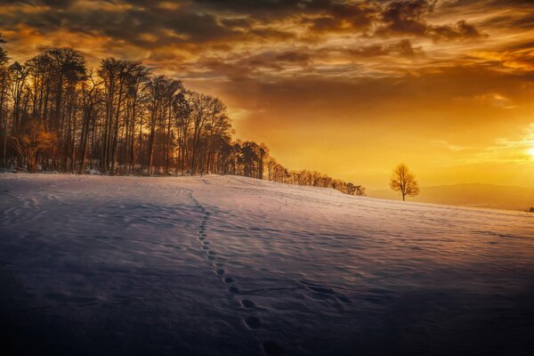 Winter sunset on the slope of snowdrifts