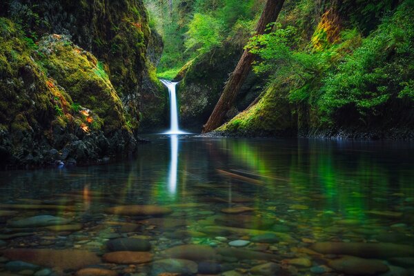 Forest small waterfall in the USA