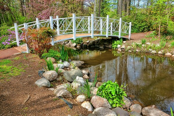 Photo of the garden in spring. The bridge and the stone shore at the dacha