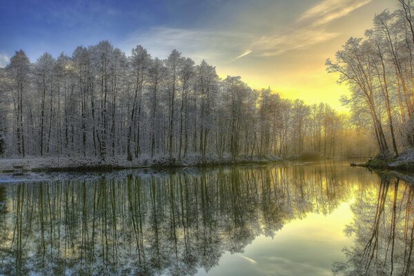 Verschneiter Wald bei Sonnenaufgang