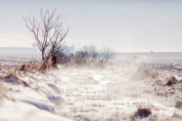 Schöne Aussicht auf die Winterlandschaft