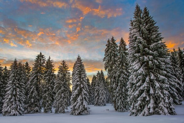 Aßen Schnee am Morgen Wolken