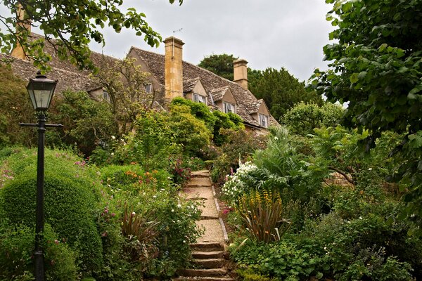 A house on the top among nature