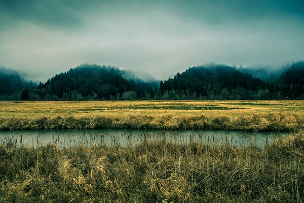 Misty hills rise above the river