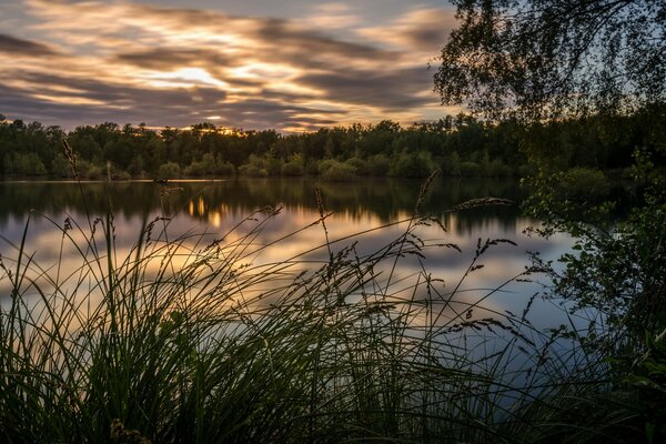 Sommersee bei Sonnenuntergang Wald