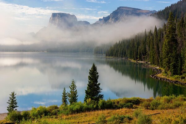 Poderosas montañas y bosques de abetos alrededor de un lago de niebla transparente