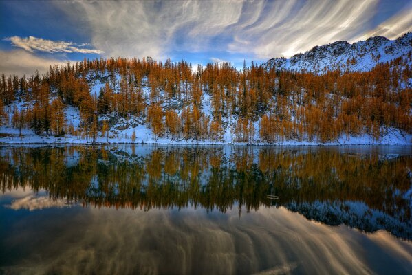 Reflexion des Herbstwaldes im Fluss