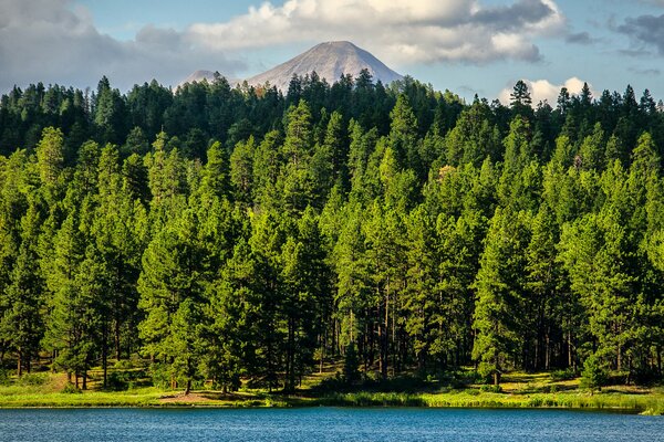 Forêt au pied du volcan et lac