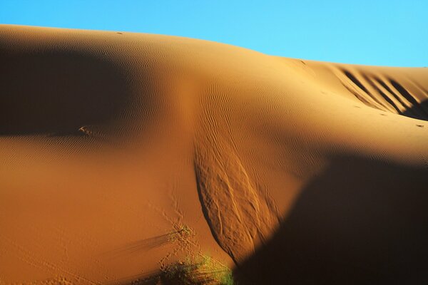 Naturaleza del desierto-alrededor de una arena