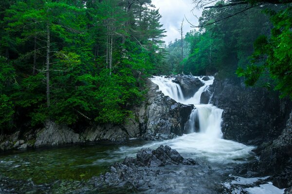 Wasserfall. Die Natur. Gebirgsfluss