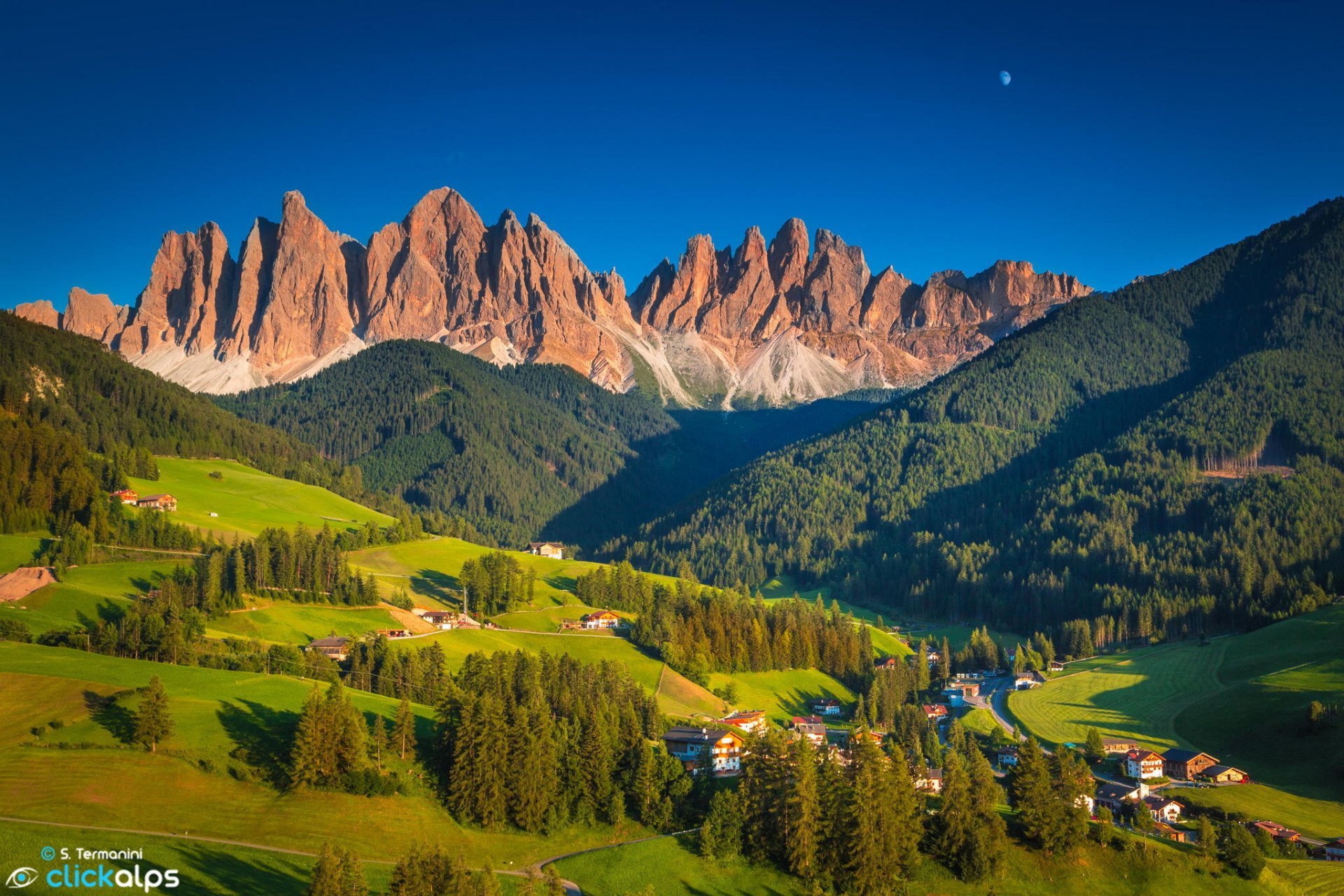 mountain landscape forest tree alp