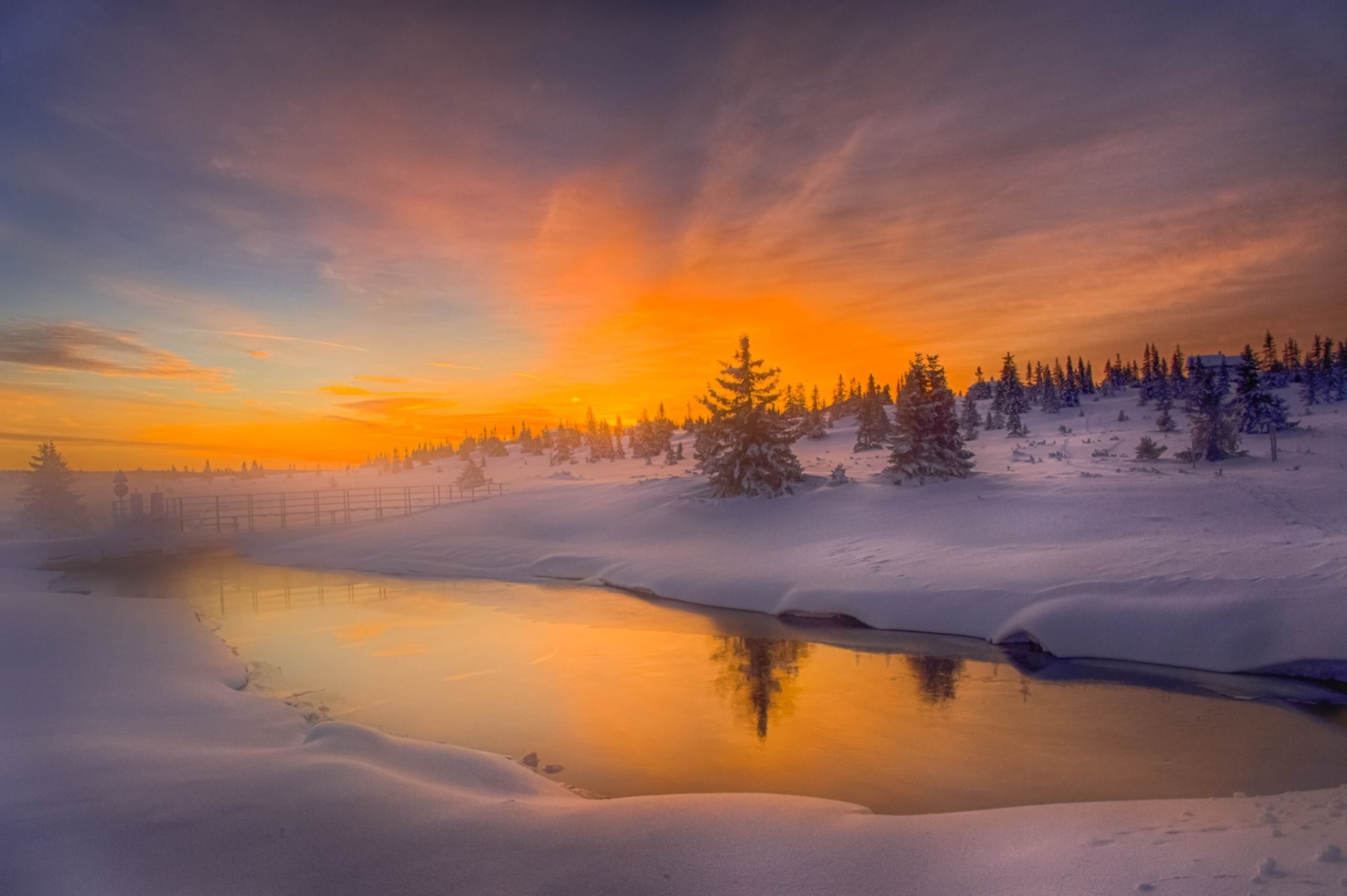 inverno neve foresta natura fiume alba