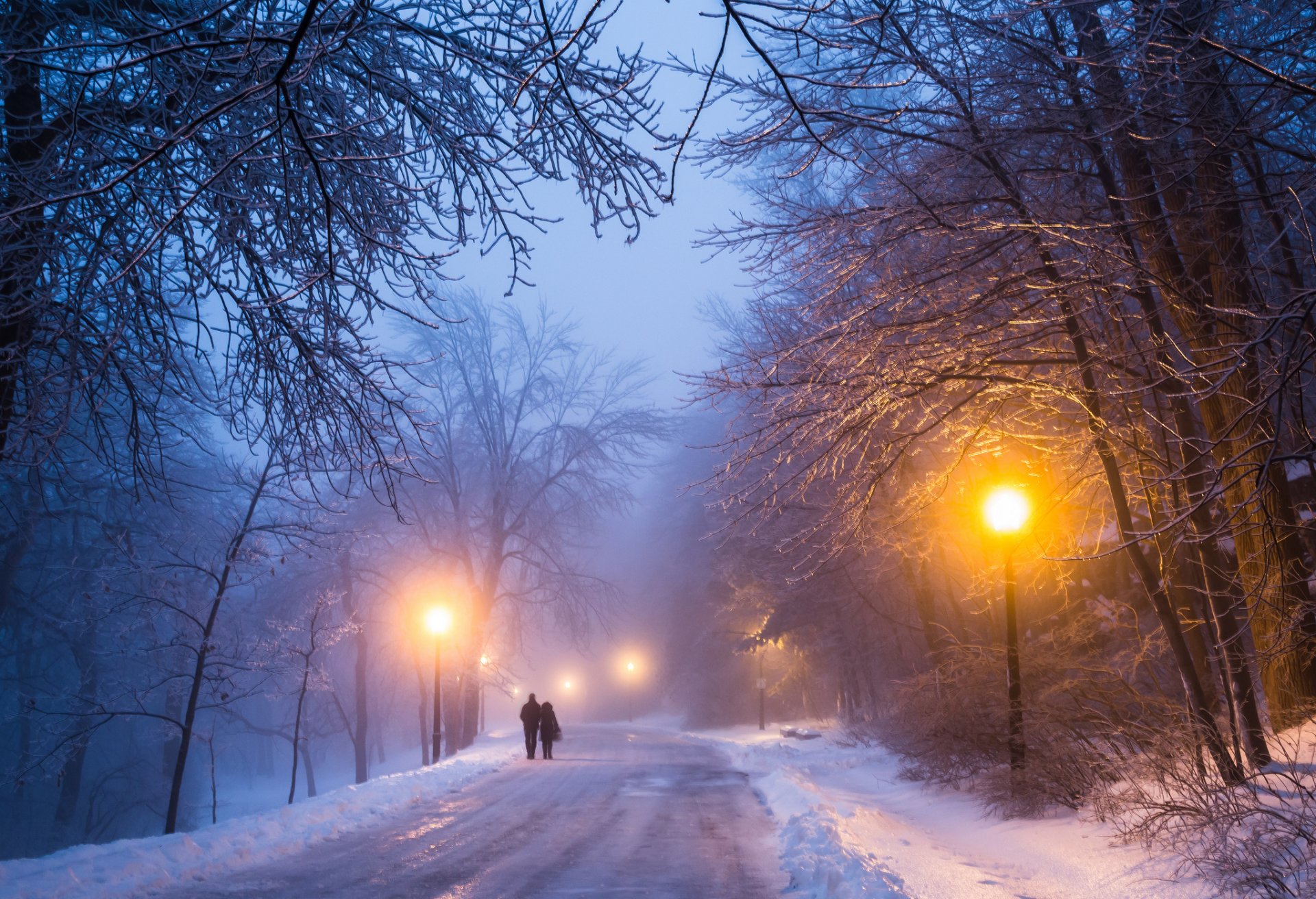 invierno noche carretera