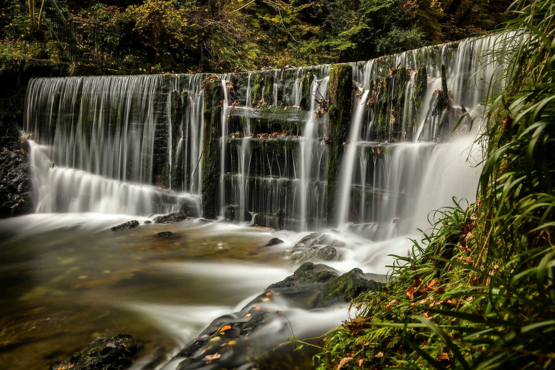 photo ghyll falls lake district ambleside angleterre lake district lake district cascade cascade forêt