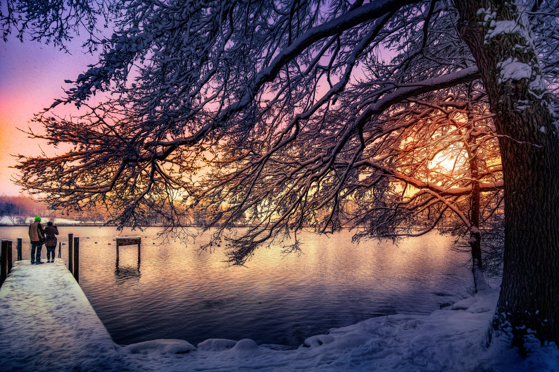 katzensee switzerland tree snow sun processing