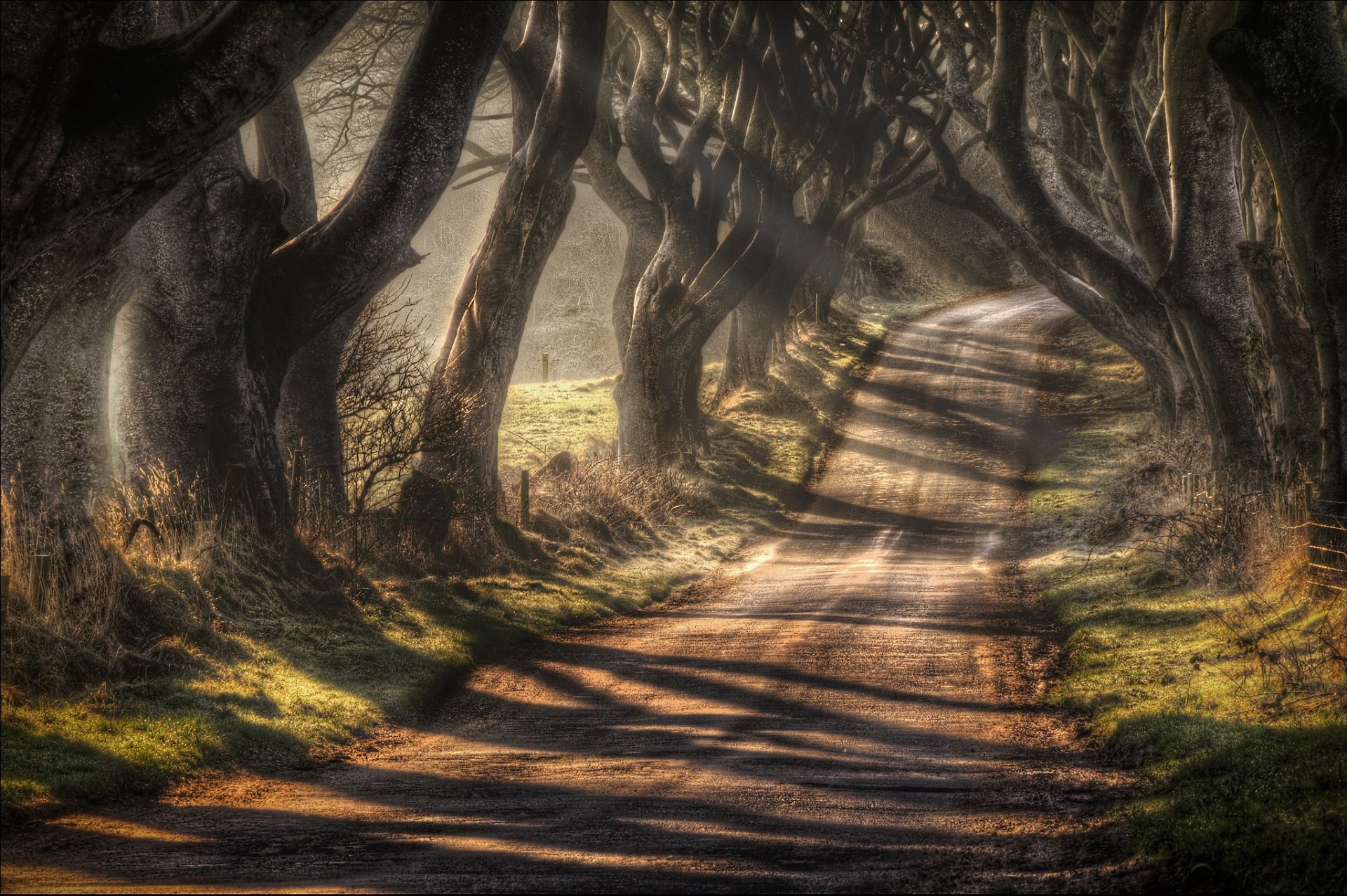 northern ireland county antrim ballymoney road bragh road dark alley tree autumn