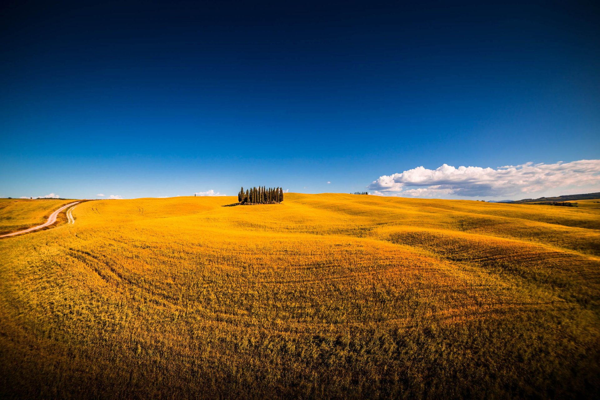 san chirico d orcia siena italia montalcino campo estate alberi cielo natura