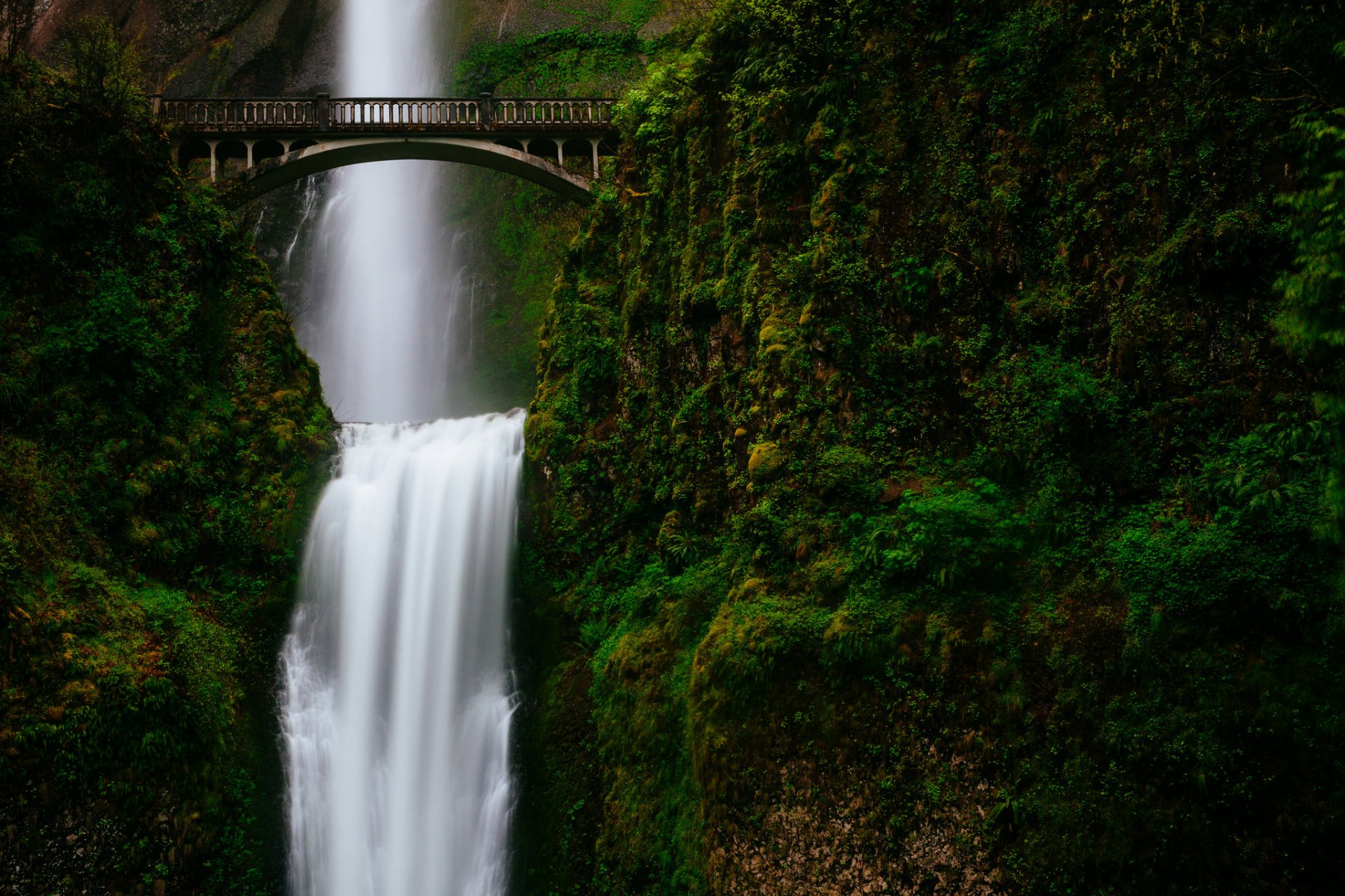 mountain green feed waterfall bridge