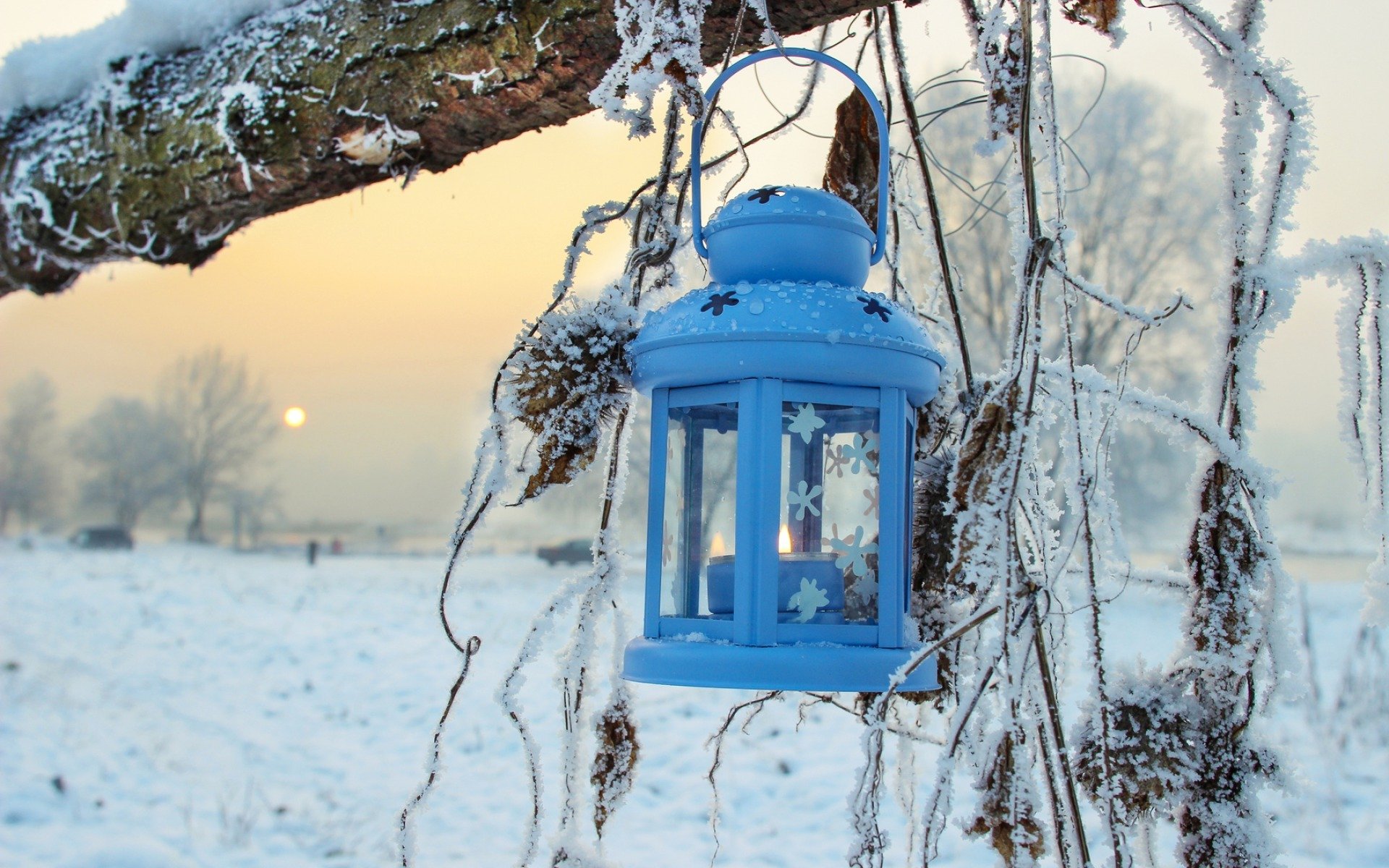 natura inverno neve lanterna alberi