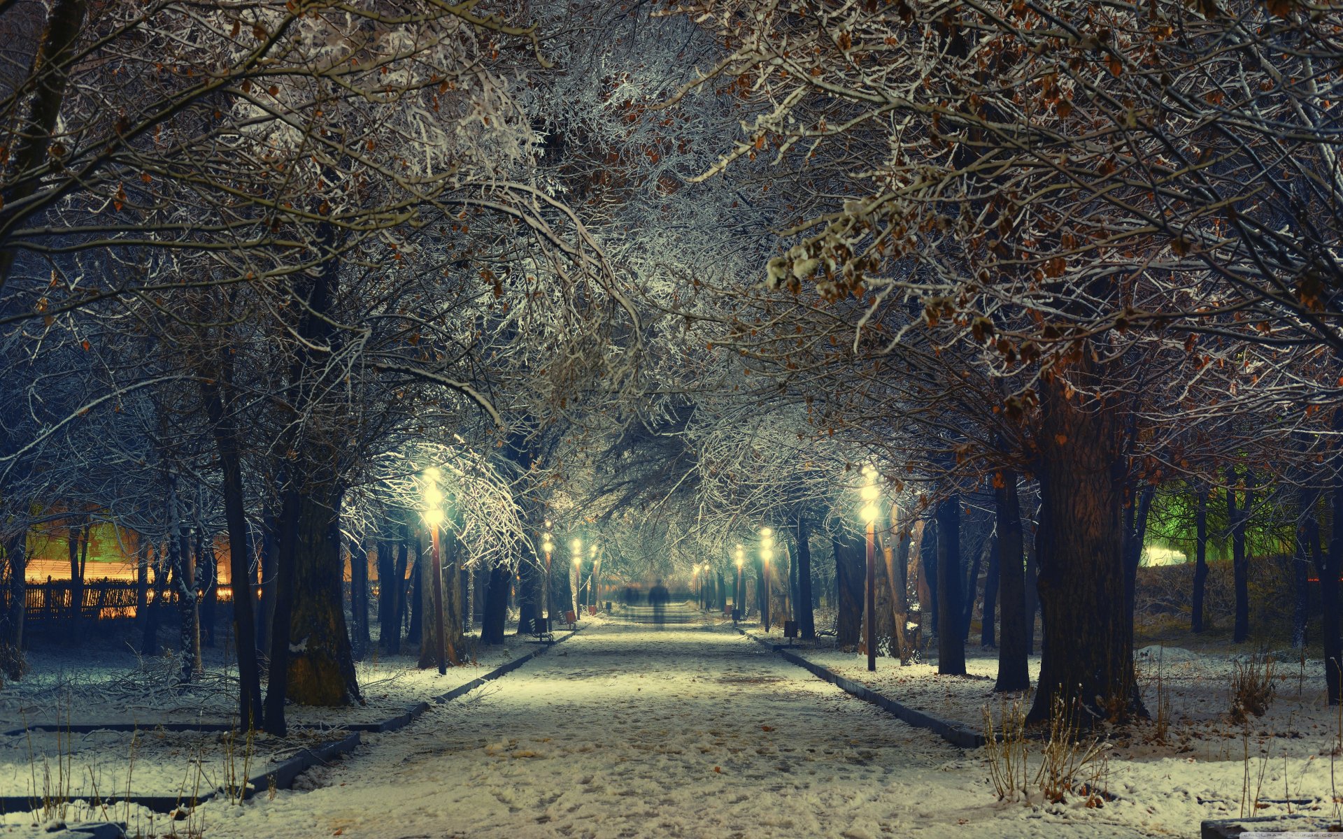 frühling lichter abend straße gasse bäume