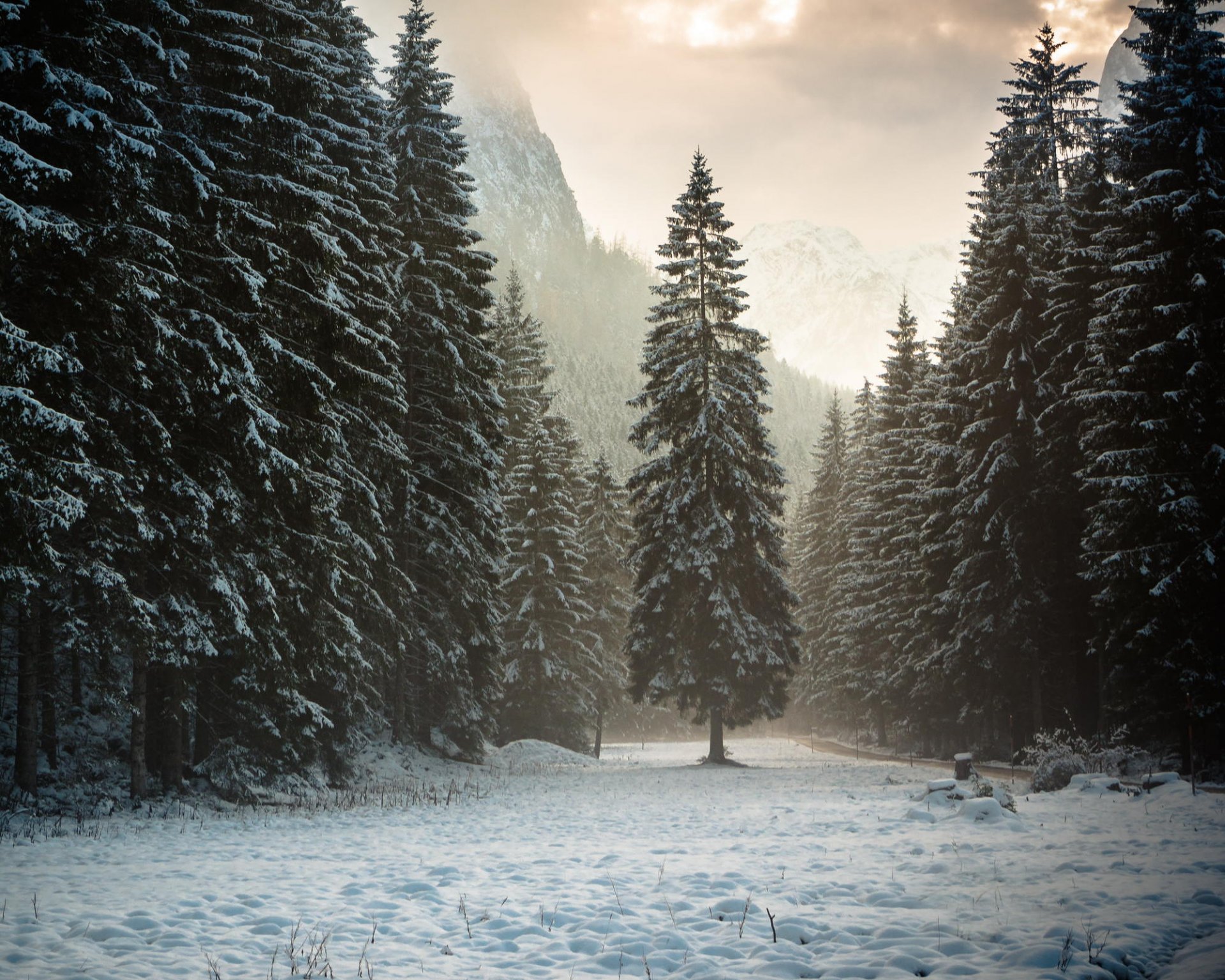 natura austria tyrol góry alpy las śnieg zima