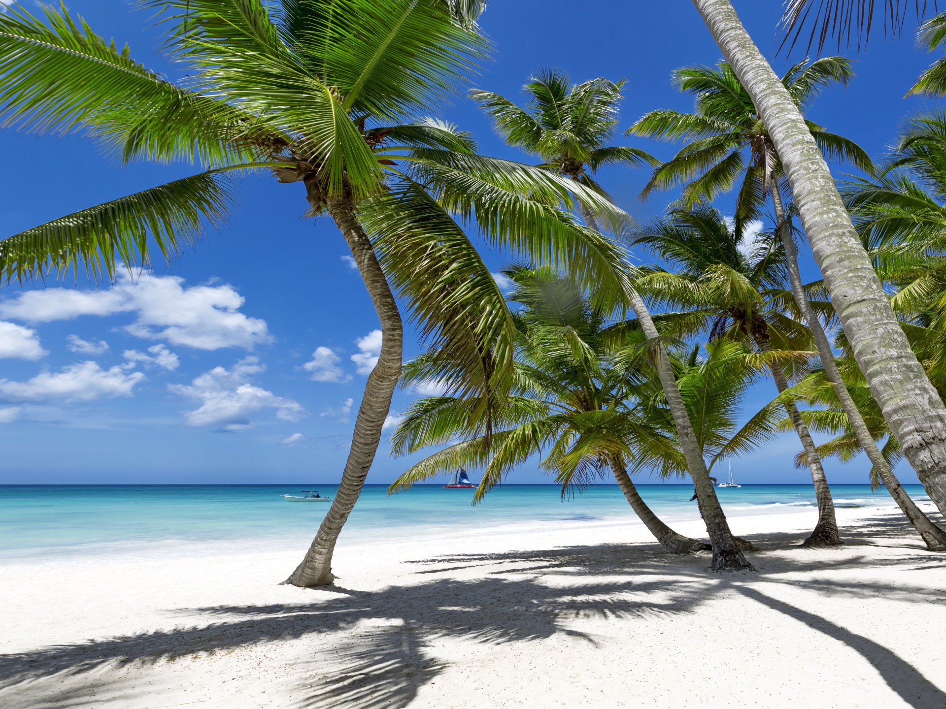 tropical paradis plage palmiers mer océan soleil été vacances tropiques sable rivage