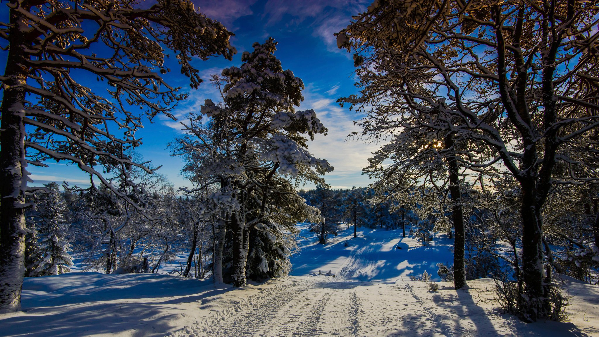 invierno maravilla tierra noruega invierno sol