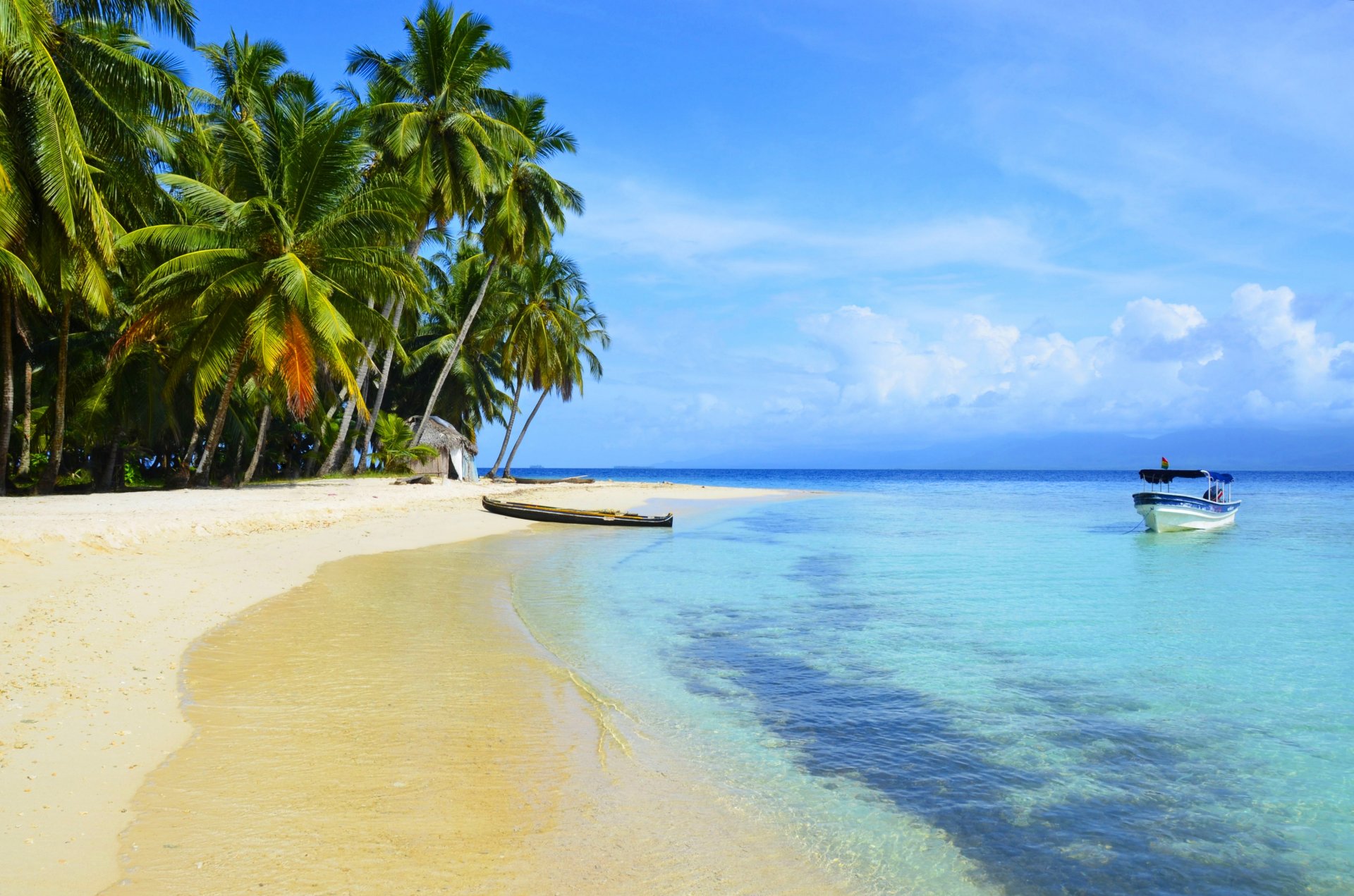 tropics sea beach boat palm