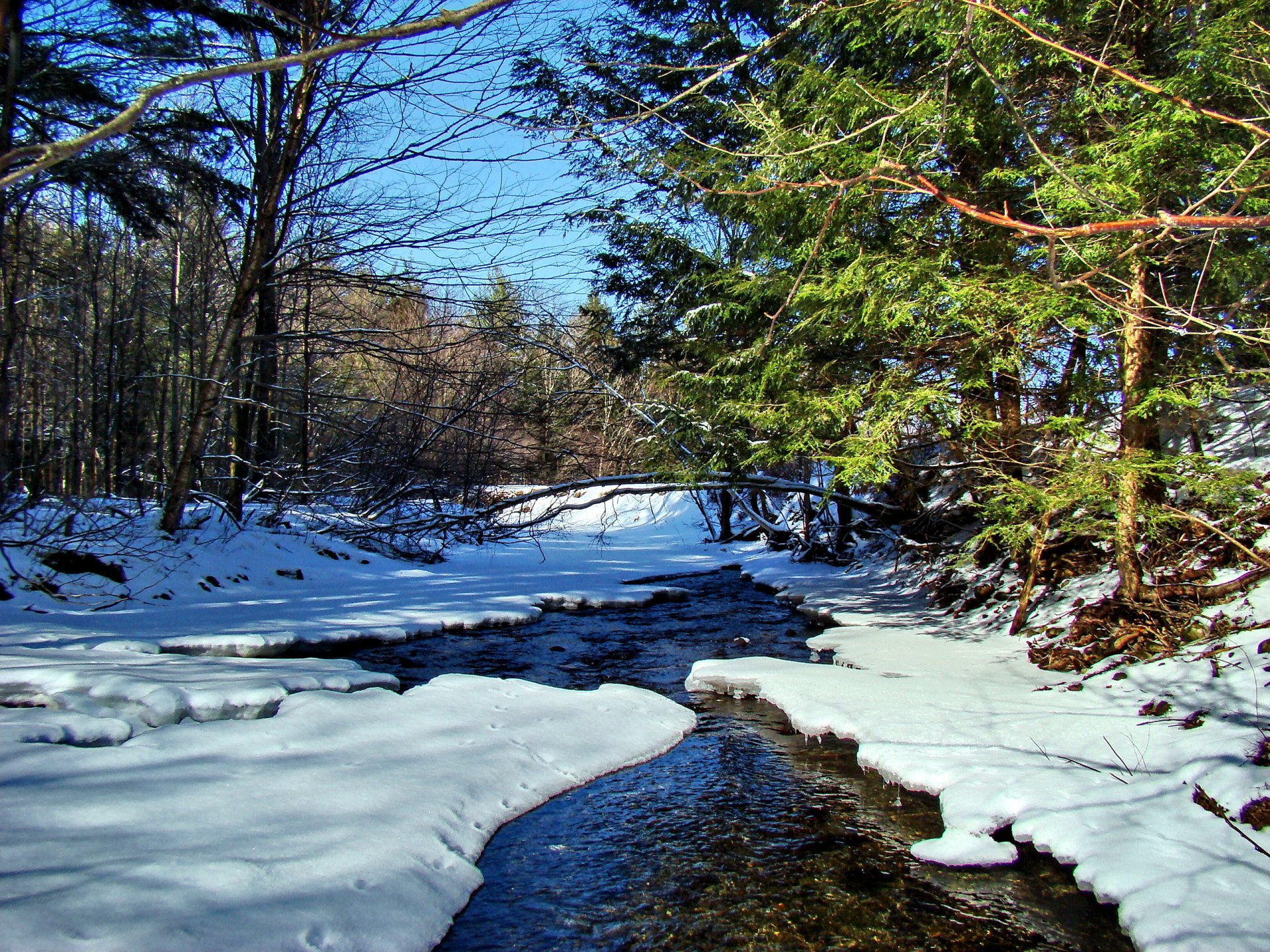 himmel wald bäume schnee fluss bach frühling landschaft