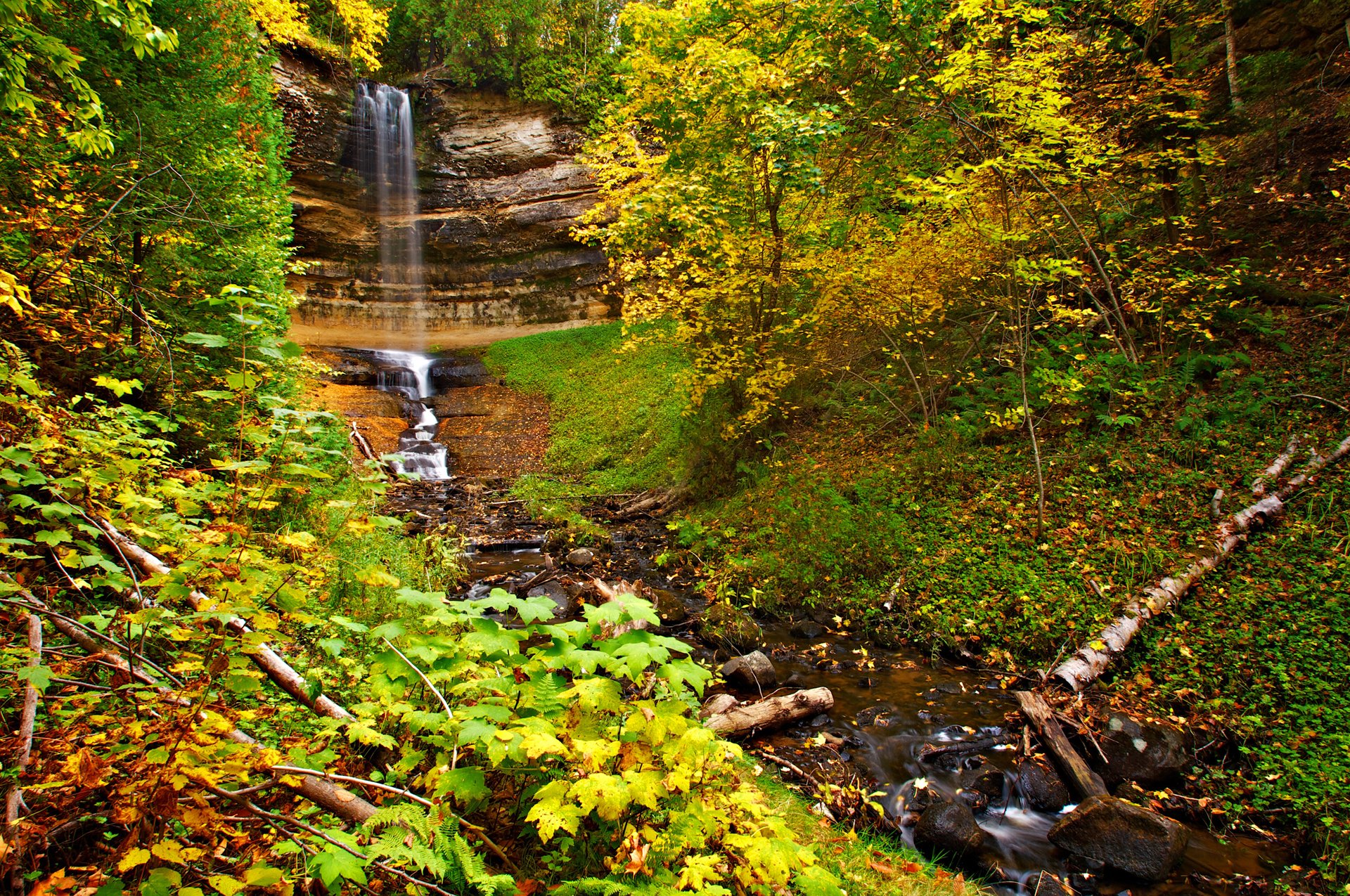 bosque árboles otoño hojas roca cascada corriente