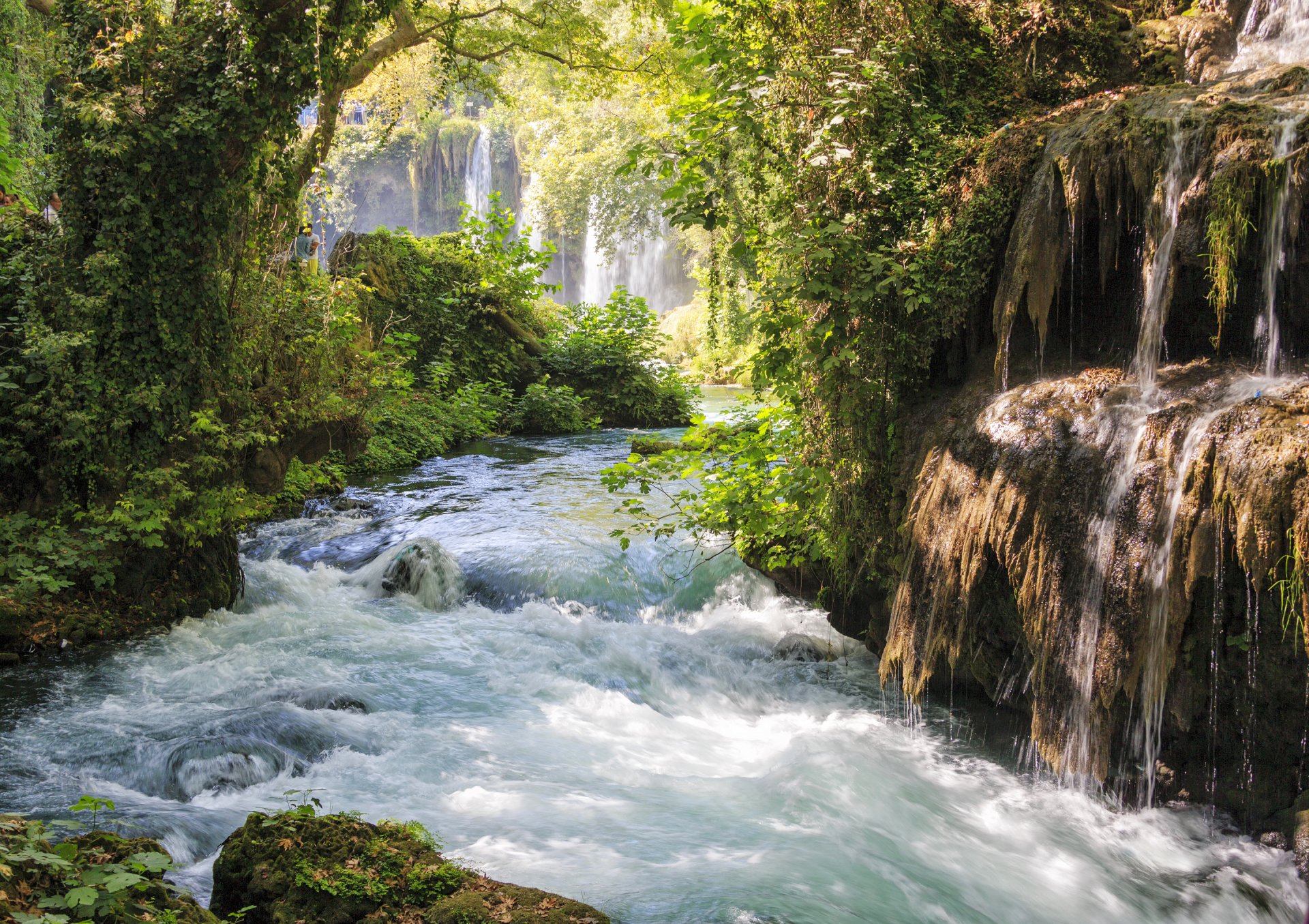 forest river feed stones tree waterfall