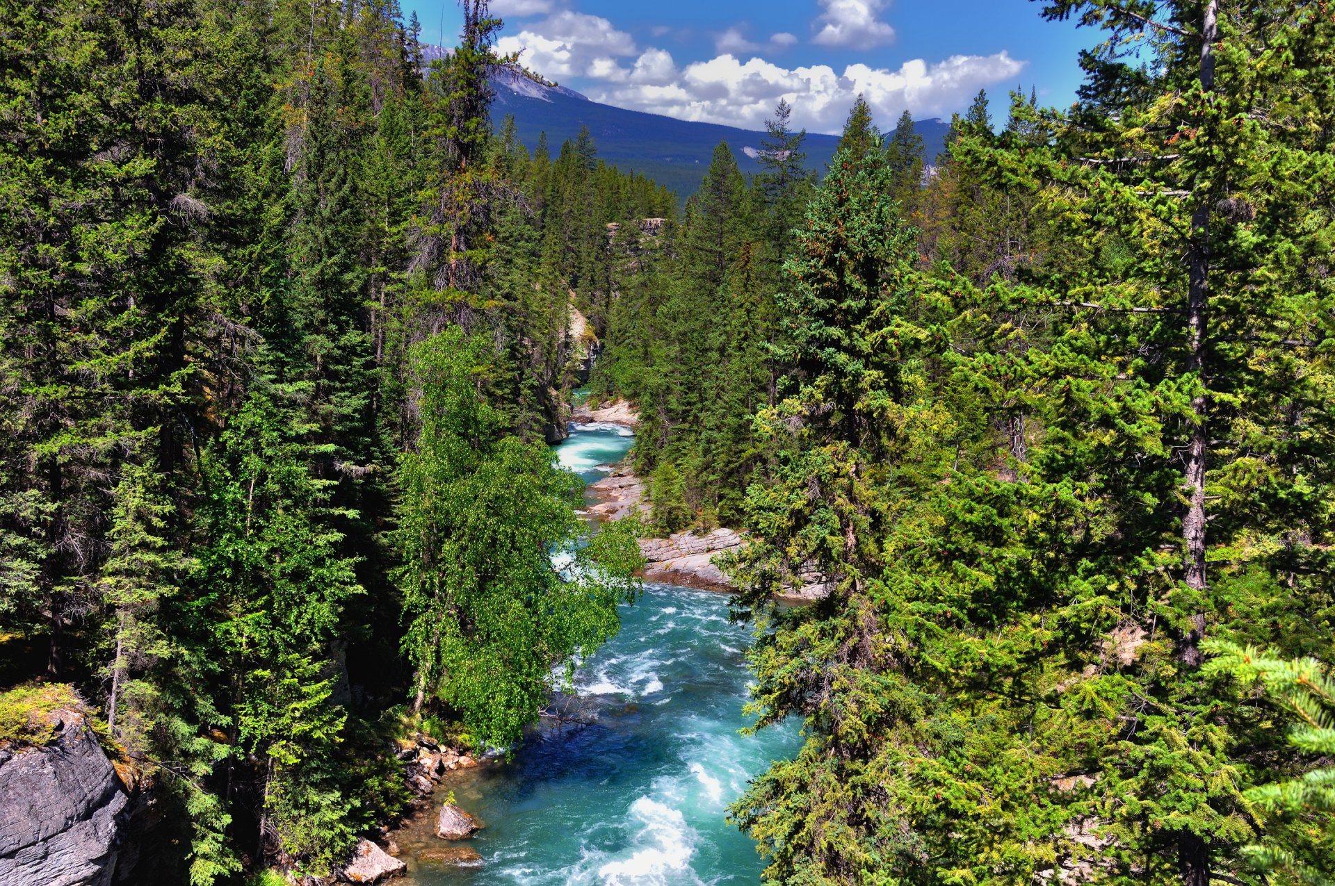 parco nazionale di jasper alberta canada montagne foresta alberi fiume cielo nuvole