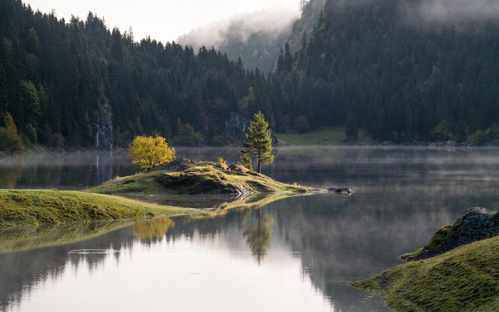 natur wald see bäume