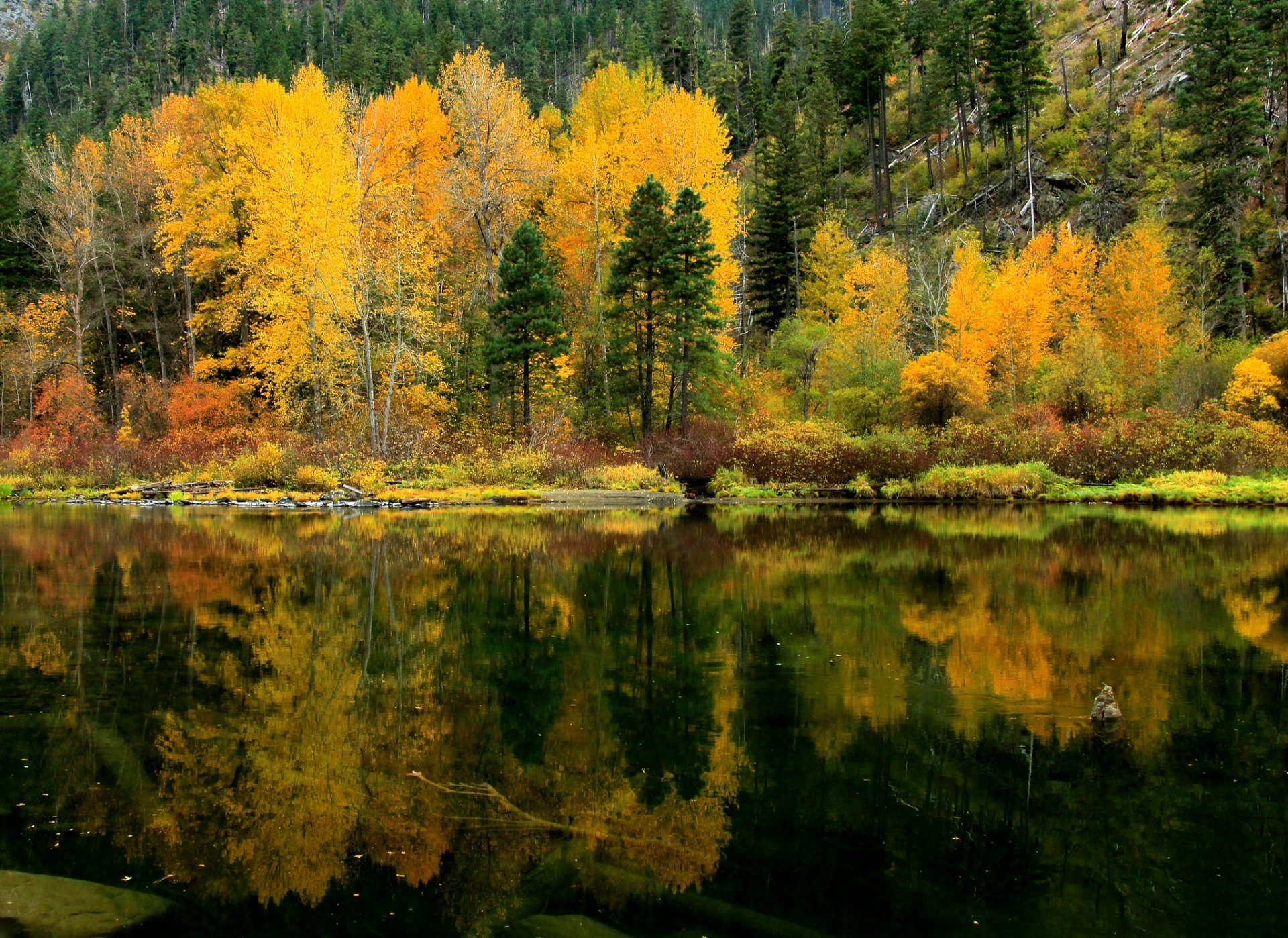 bosque pendiente lago árboles reflexión otoño