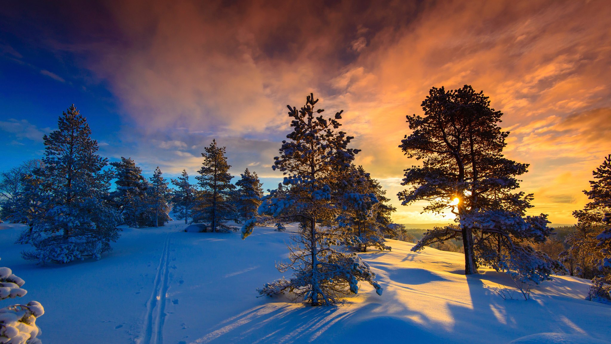 norway winter snow naglestadheia frost and the sun wonderful day